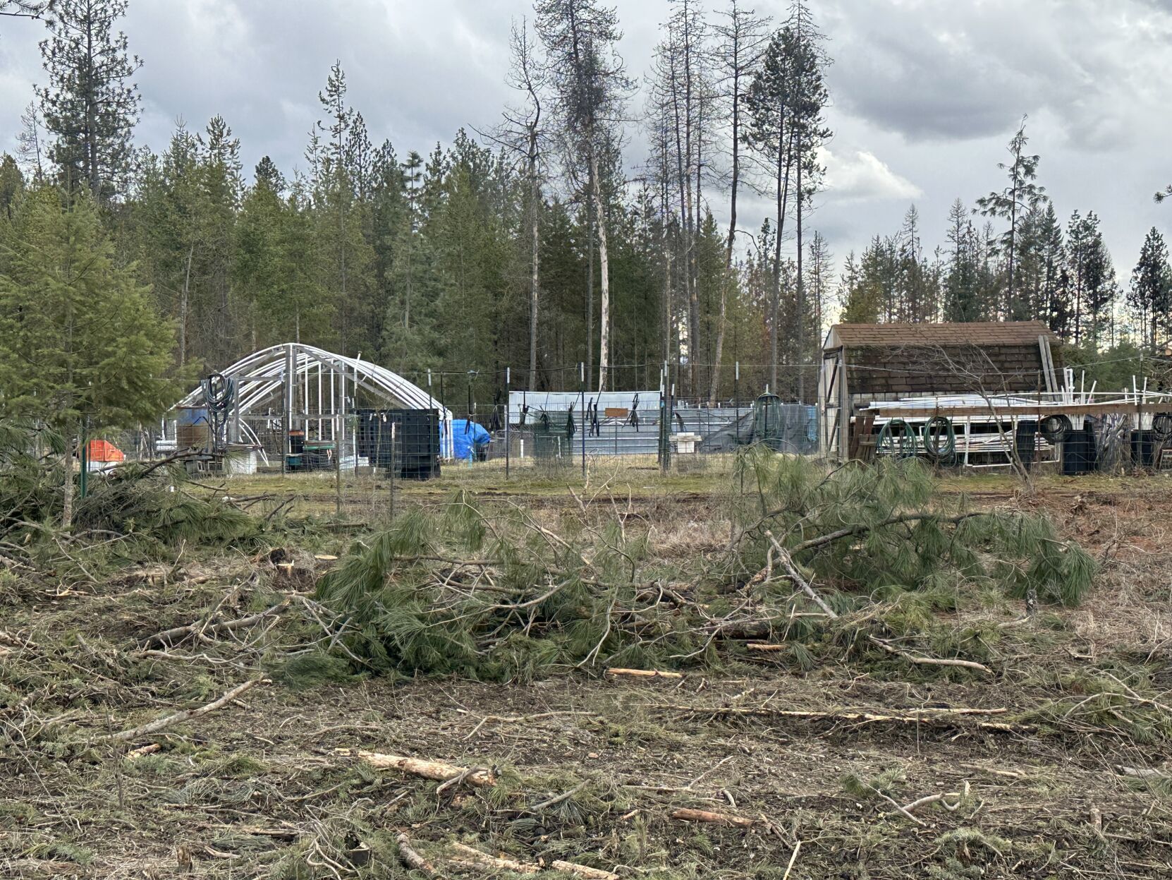 Elk Residents Recall Terrifying Moments As Flames Approached Their Home   65c6df394a761.image 