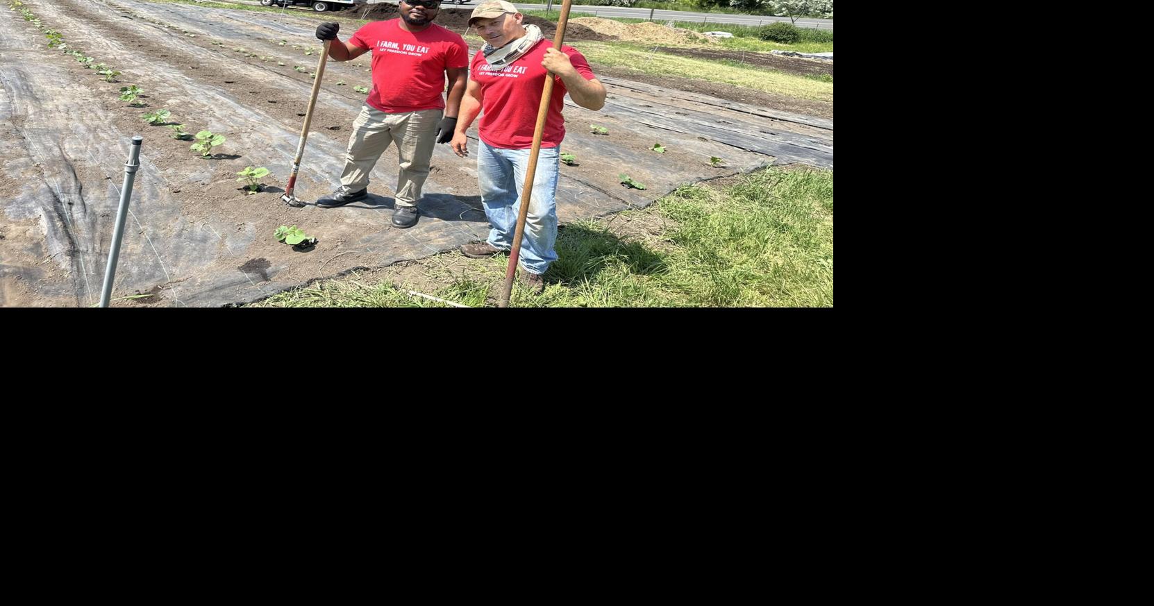 Veterans find support and sense of purpose through farming program in ...