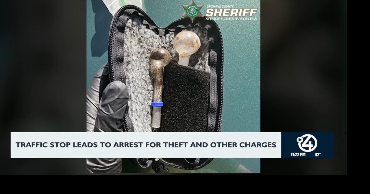 Traffic stop leads to arrest for theft and other charges | Video | kxly.com