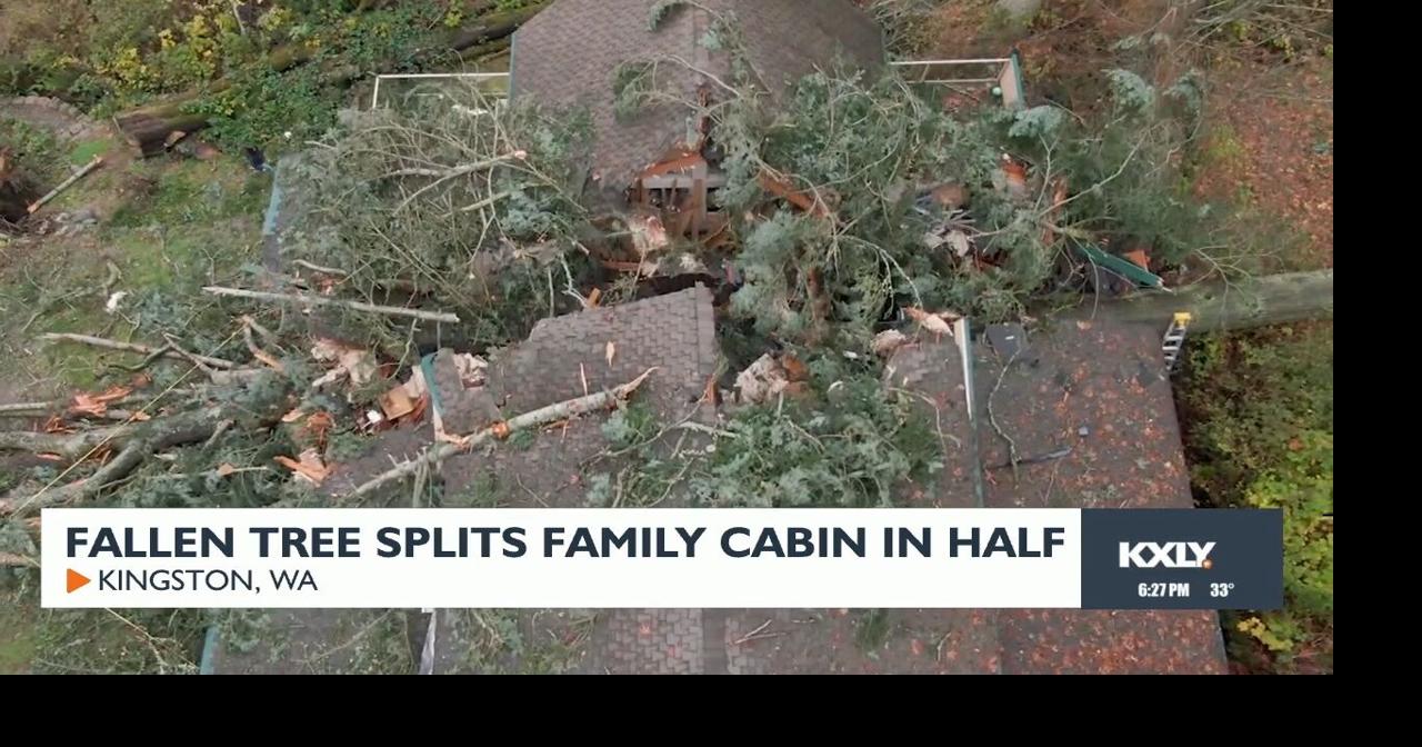 Fallen tree splits family cabin in half | Video | kxly.com