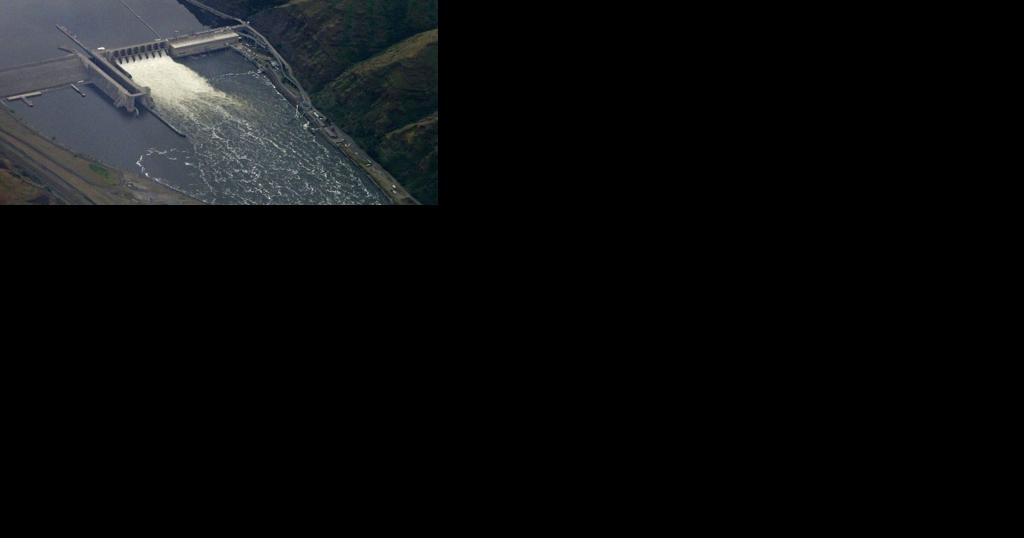 U.S. House Republicans halt plans to breach WA's Snake River dams - Vimarsana News