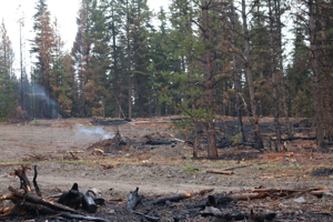 Sinlahekin Fire Update: Evacuations lowered in Okanogan County as firefighter gain more containment