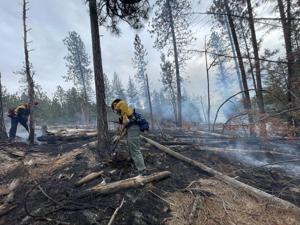 Fire crews battle brush fire in Spokane Valley | News | kxly.com