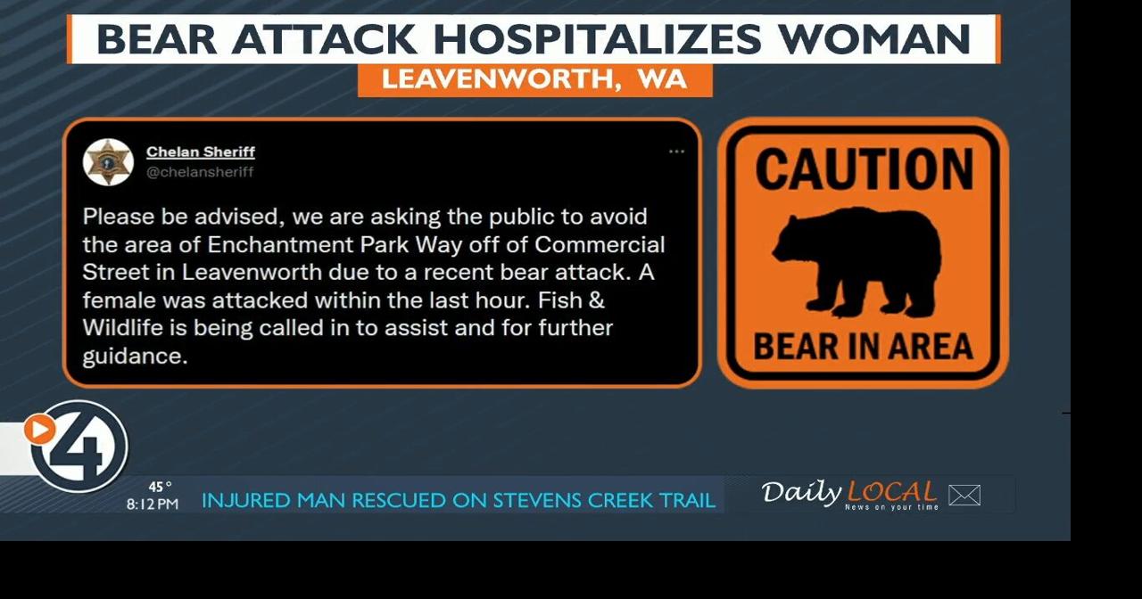 Black bear attack: woman hospitalized in Chelan County | Eastern Washington | kxly.com