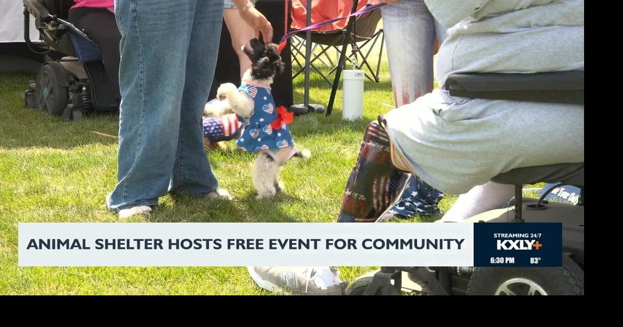 Woof-Stock Music Festival Brings Joy to Hayden Community