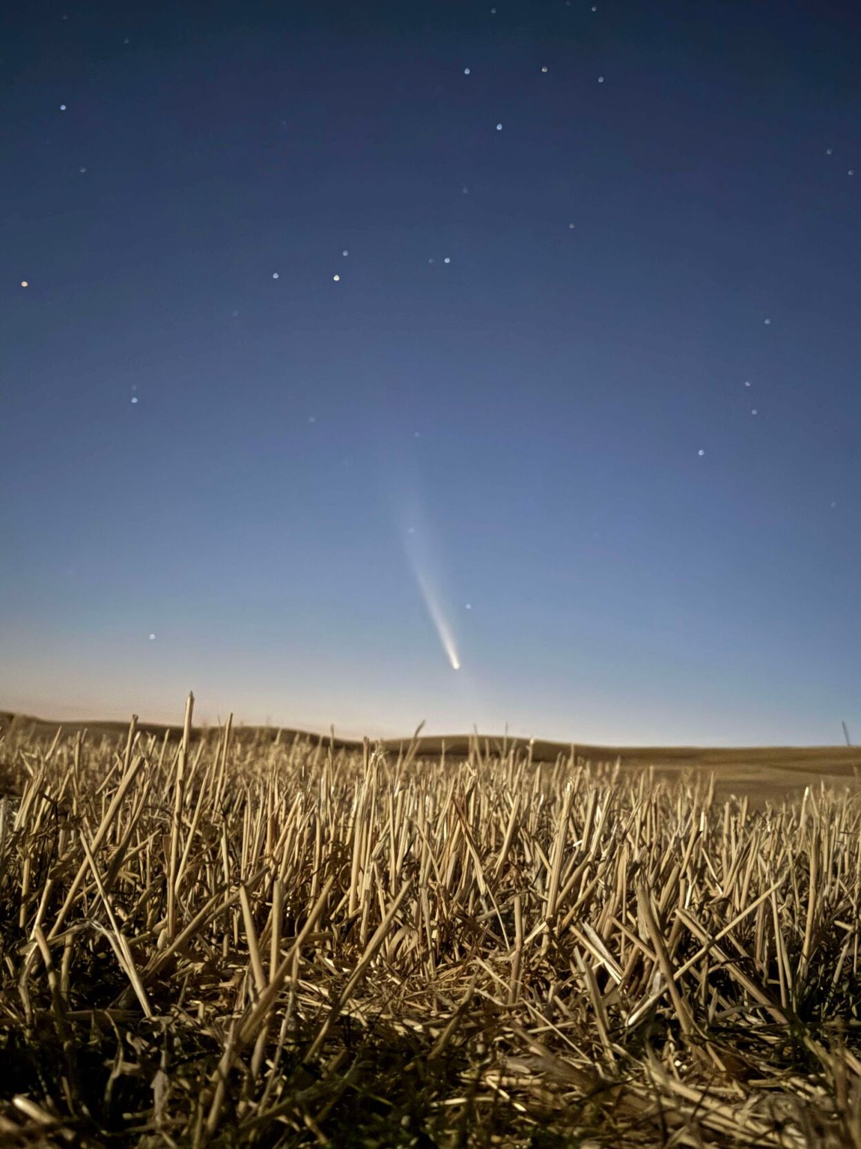 Look up: A once-in-80,000-years comet may be visible after