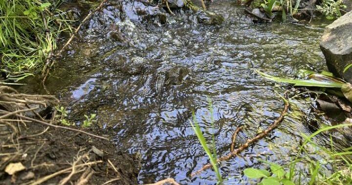 West Plains voters to decide on aquifer protection measure in August primary