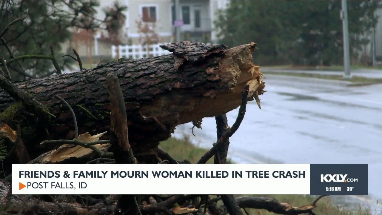 Friends And Family Mourn Woman Killed By Tree In Post Falls | Video ...