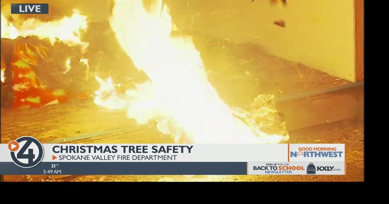How a live Christmas tree can go from decorative to dangerous Holidays