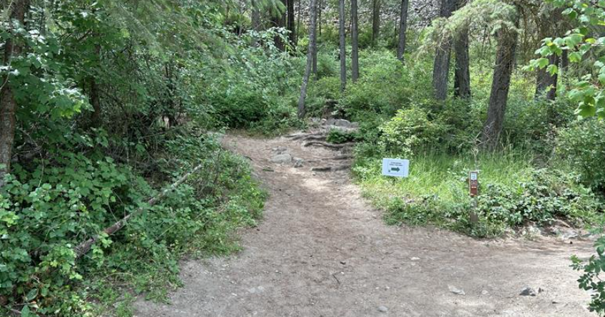 How to stay safe from wildlife while enjoying the outdoors - Vimarsana News