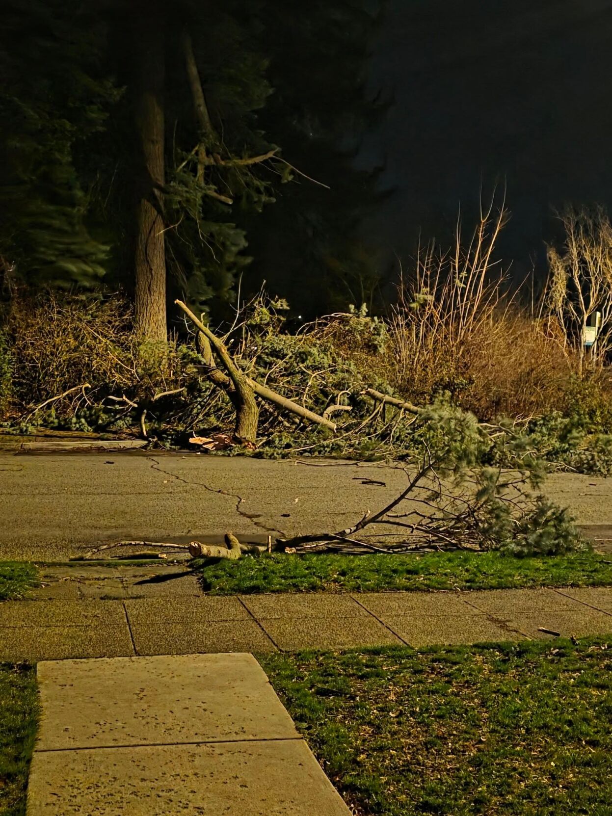 High winds snap trees, down power lines all over the Inland NW | Top ...