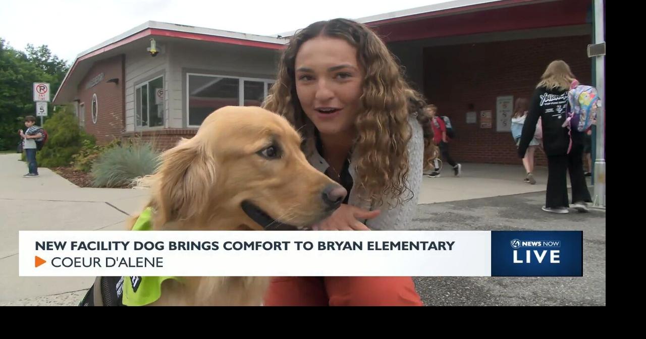 New facility dog at Coeur d'Alene school | Video | kxly.com