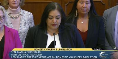 Lawmakers, advocates call for adequate funding, stronger protections for domestic violence survivors