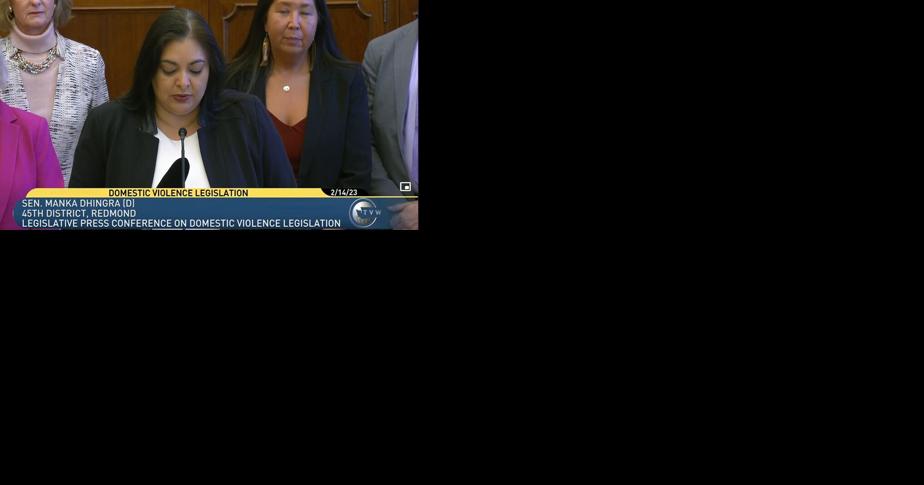 Lawmakers, advocates call for adequate funding, stronger protections for domestic violence survivors - Vimarsana News
