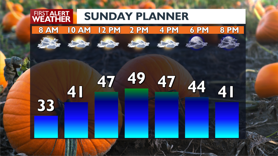 🌤️ Enjoy a pleasant Sunday with sunshine and mild temps ahead of a dry ...