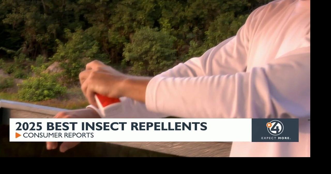 Keep the bugs at bay: Consumer Reports rates insect repellents | News ...