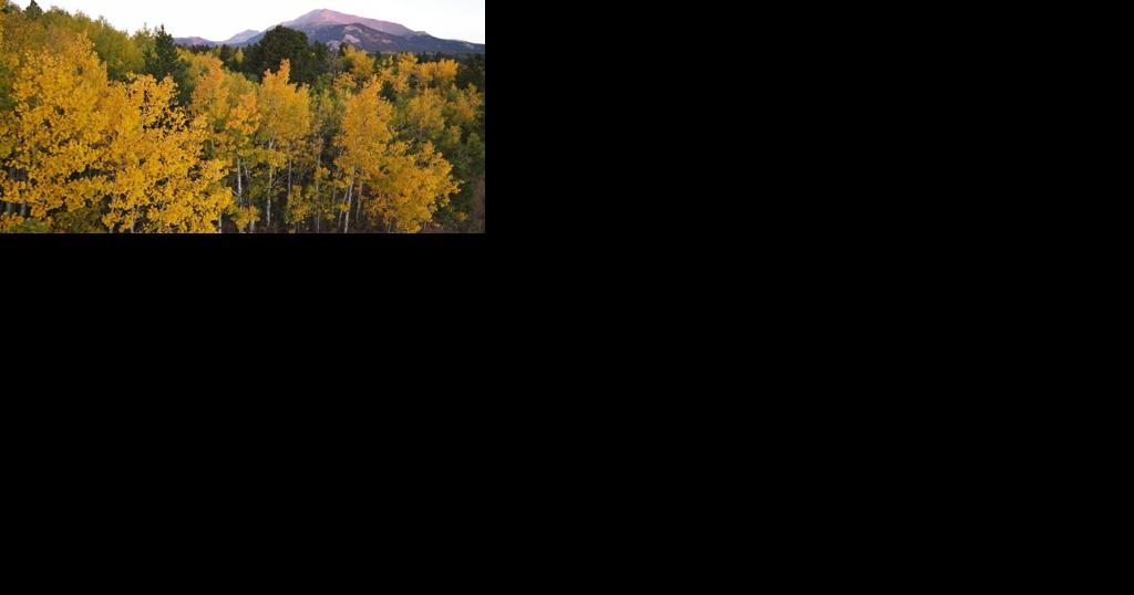 Finch Arboretum hosting free Arbor Day festivities - Vimarsana News