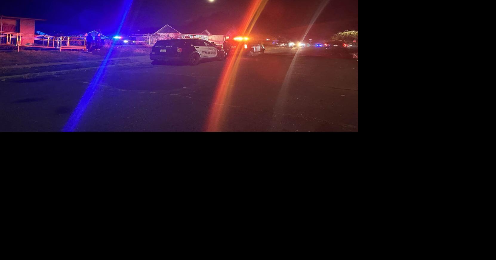 Child suffers lifethreatening injuries in dog attack News