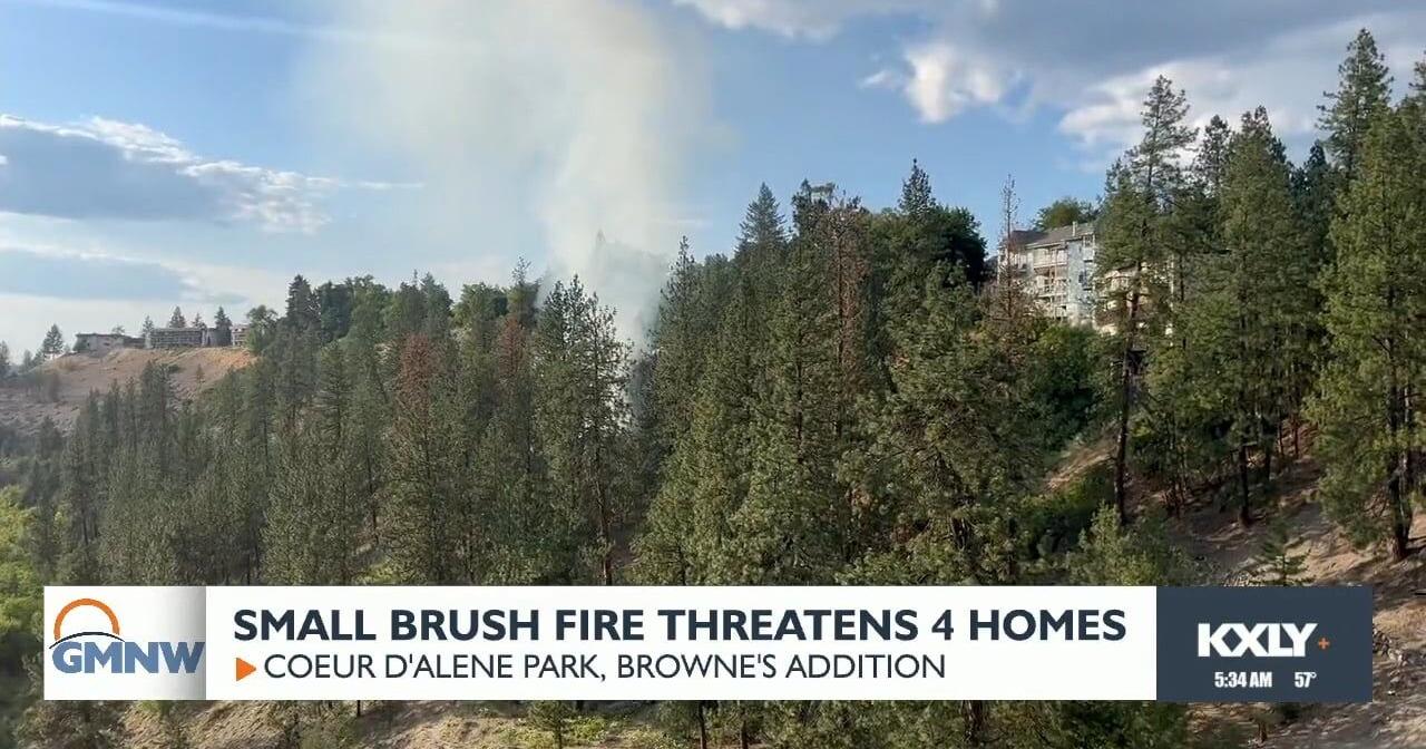 Fire crews put out brush fire threatening homes in Browne's Addition - Vimarsana News