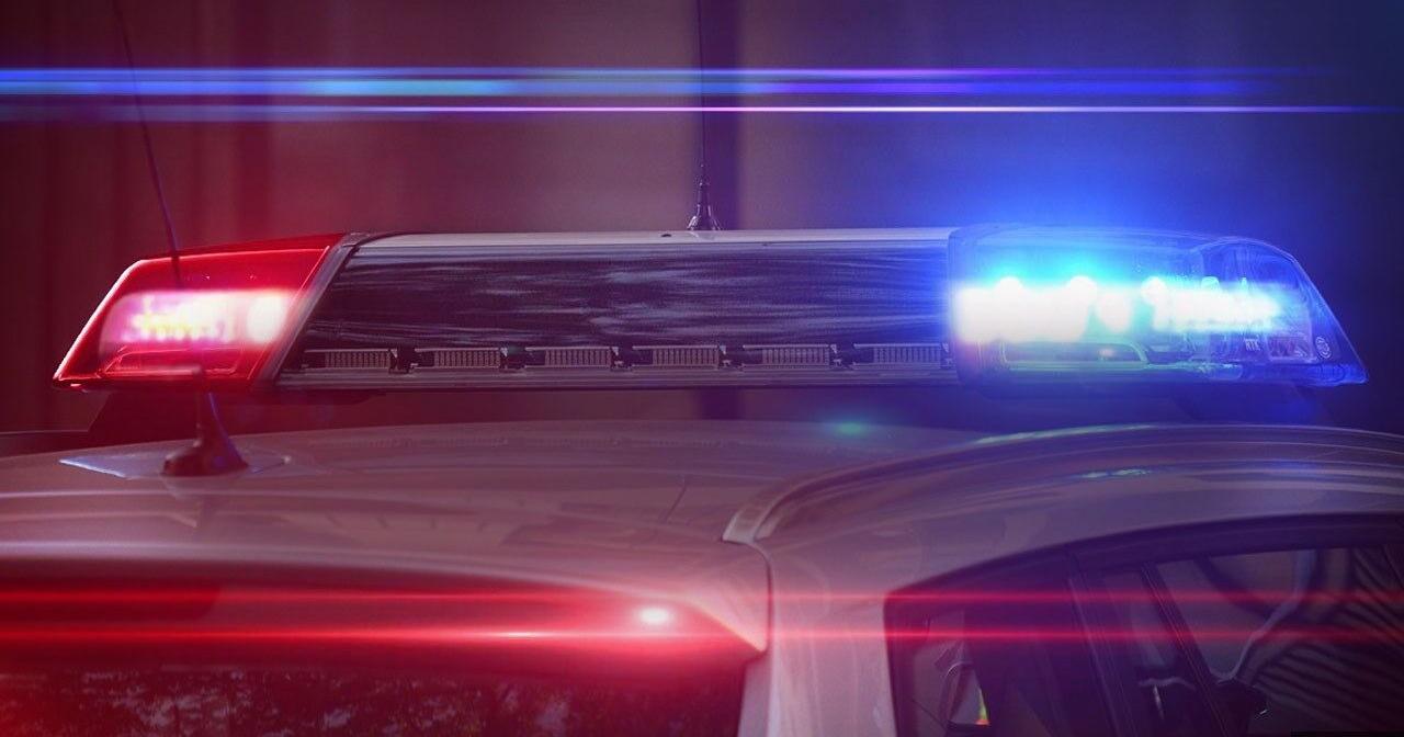 Spokane man uses bird to try to lure young girl to his car - Vimarsana News