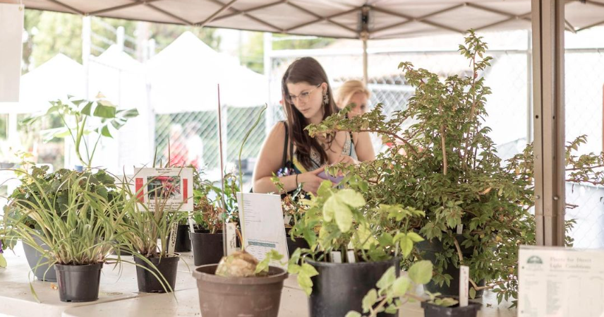 Annual Spring Plant Sale at Manito Park - Vimarsana News