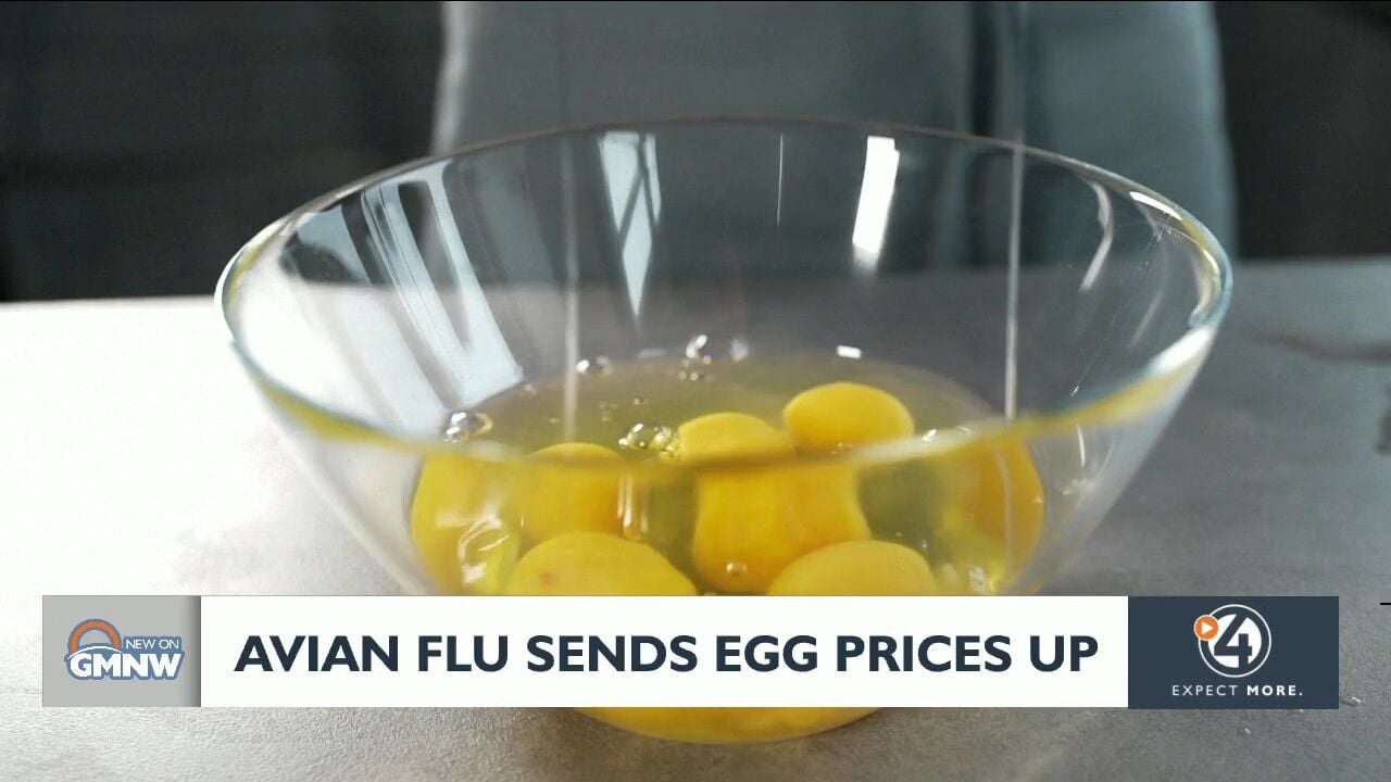 Avian Flu Sends Egg Prices Up | Video | Kxly.com