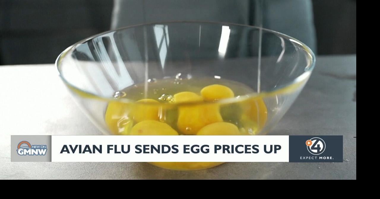 Avian flu sends egg prices up Video