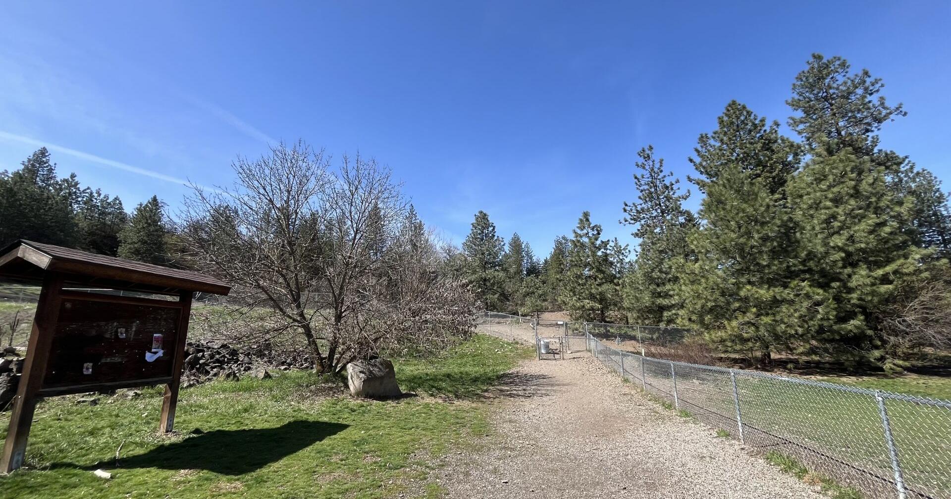 Upgrades planned at High Bridge Dog Park to increase safety and accessibility - Vimarsana News