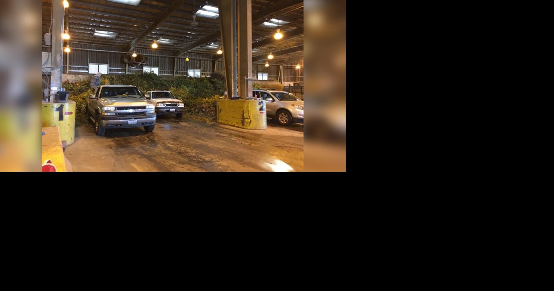 City of Spokane offers free tree branch disposal, cleanup services in