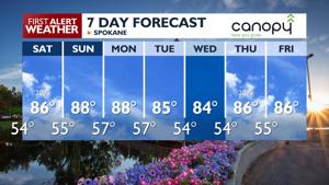 🌦️It's a long shot, but showers & thunderstorms possible on a warm, summer Saturday - Kris