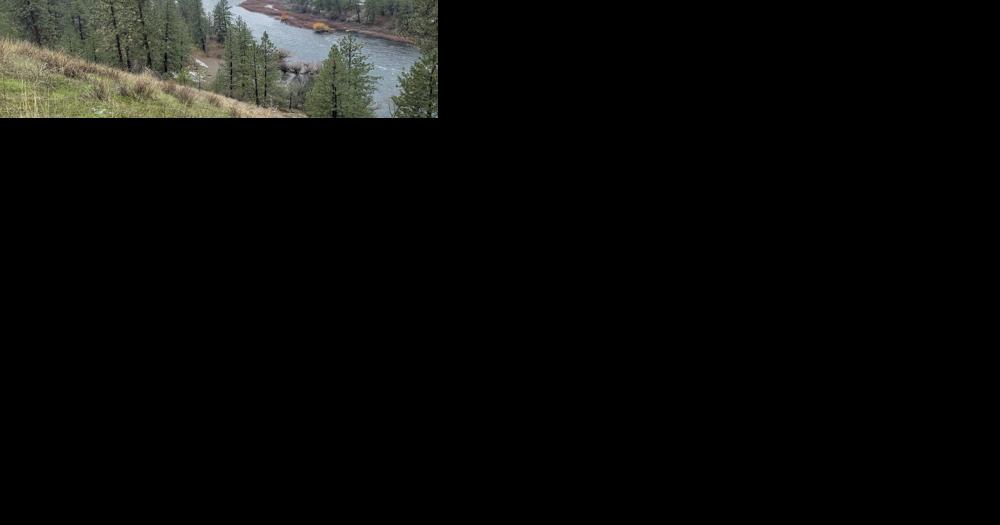 Rivers on the rise with a warm, wet forecast ahead - Vimarsana News