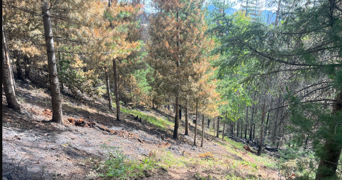 Gold Run Fire reaches full containment in Shoshone County