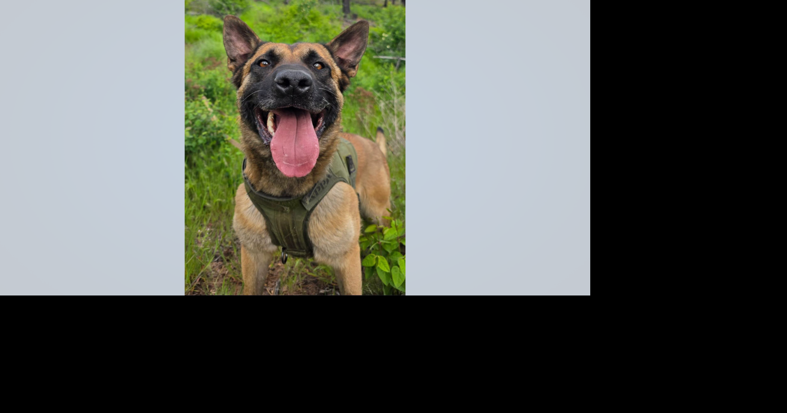 K9 shot, suspect killed during armed confrontation in Kootenai County