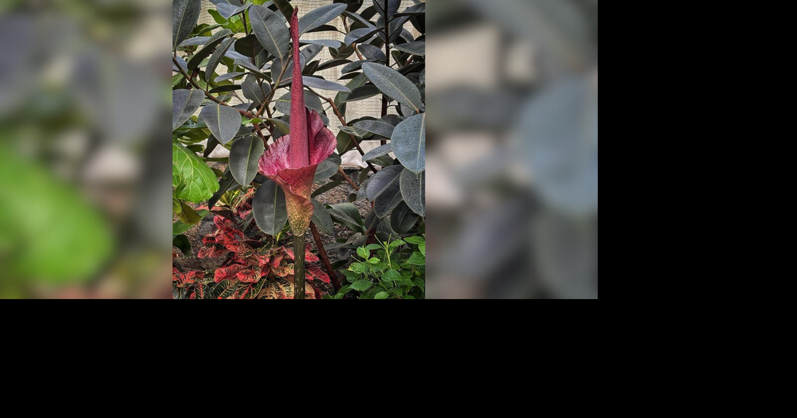 69aadfd276f54.image.png?crop=