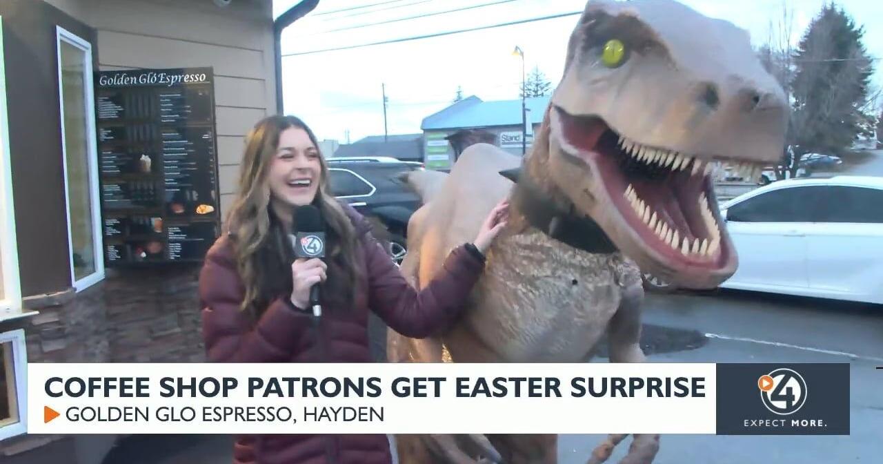 Stanley the Dinosaur surprises customers at Hayden coffee shop - Vimarsana News