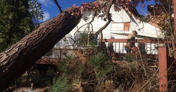 'Incredible resilience'; Monday marks 10 years since Spokane's historic, devastating windstorm