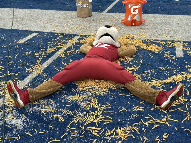 Cougs mash Aggies, win Famous Idaho Potato Bowl | News | kxly.com