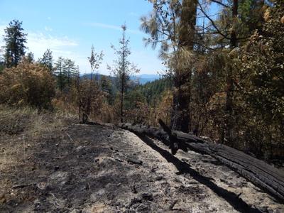Nettleton Gulch Fire