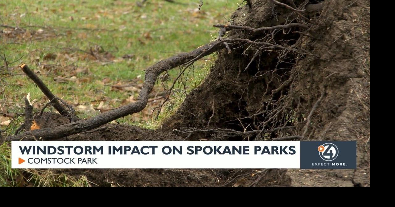 Windstorm impact on Spokane parks | Video | kxly.com