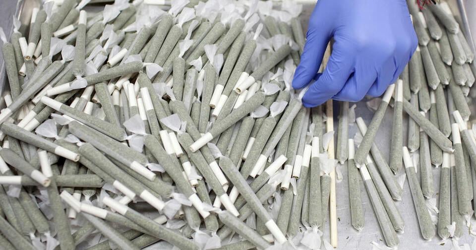 Idaho voters may decide on medical marijuana legalization in November