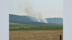 Evacuations downgraded for wildfire near North Sparrow Lane and Long Lake Road