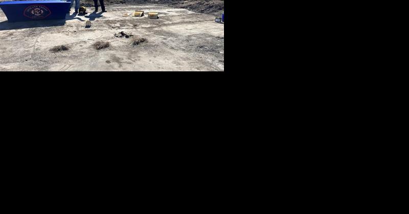Important tips for protecting your home ahead of wildfire season - Vimarsana News