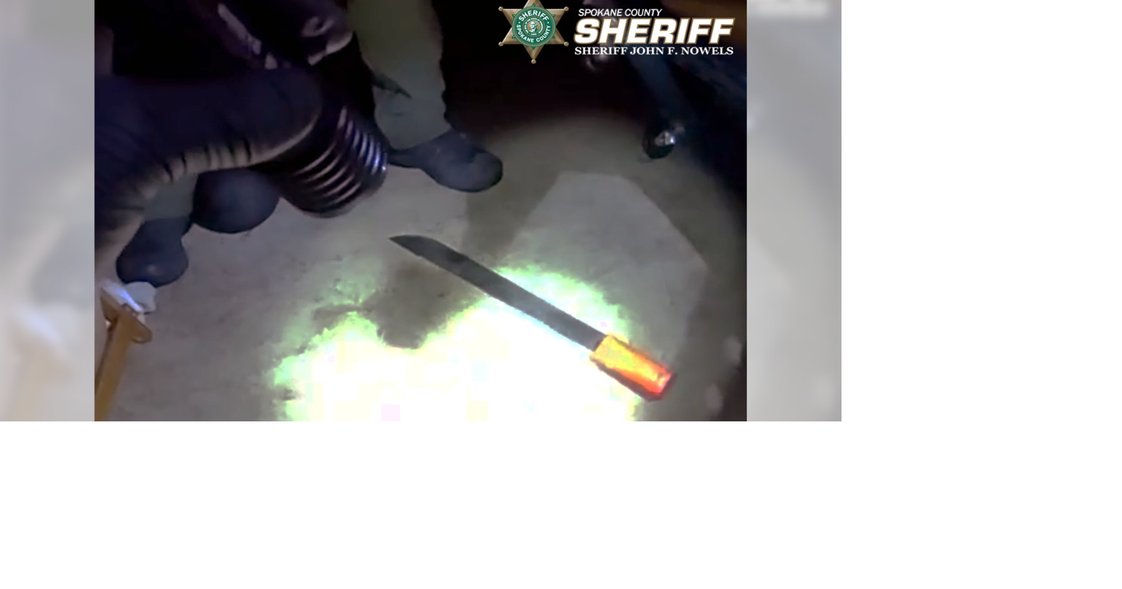 Man arrested for attacking neighbor with machete over $10 debt | News ...