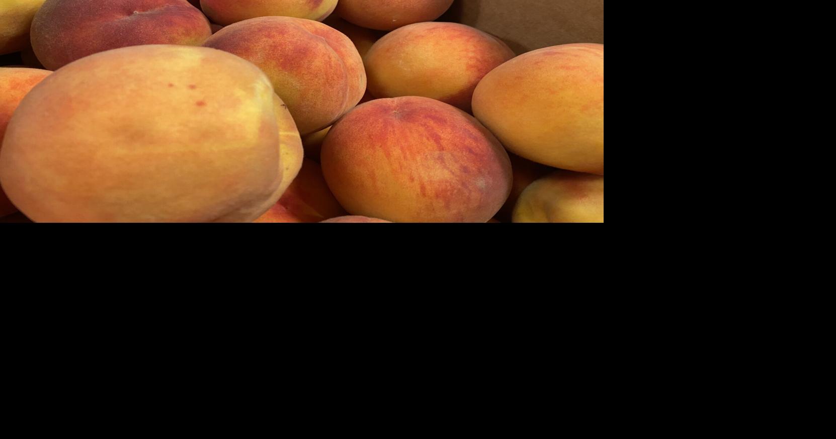 Upick peaches come better late than never on Green Bluff Eastern