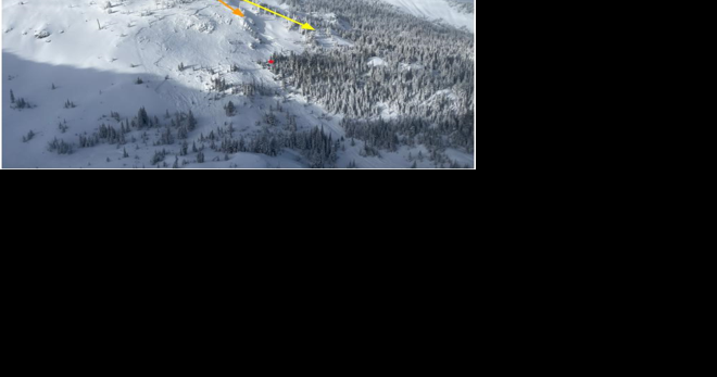 'Hard truths must be faced': Experienced skiers triggered deadly avalanche, according to new report - Vimarsana News