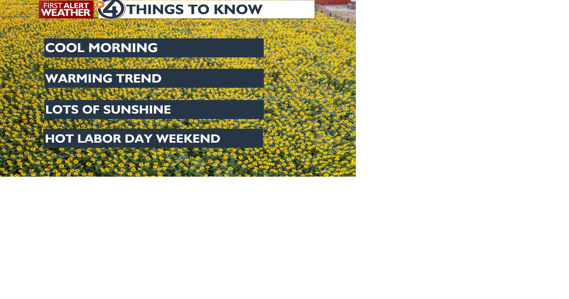 Sunny skies and temperatures in the 70s and 80s today🌞 - Allison | News ...