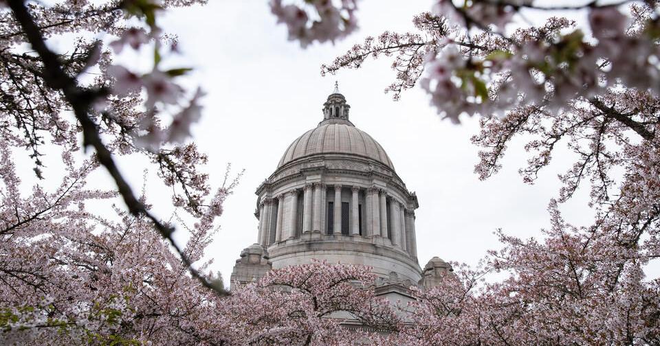Foes called it the ‘initiative killer.’ Now it’s dead in the WA Legislature