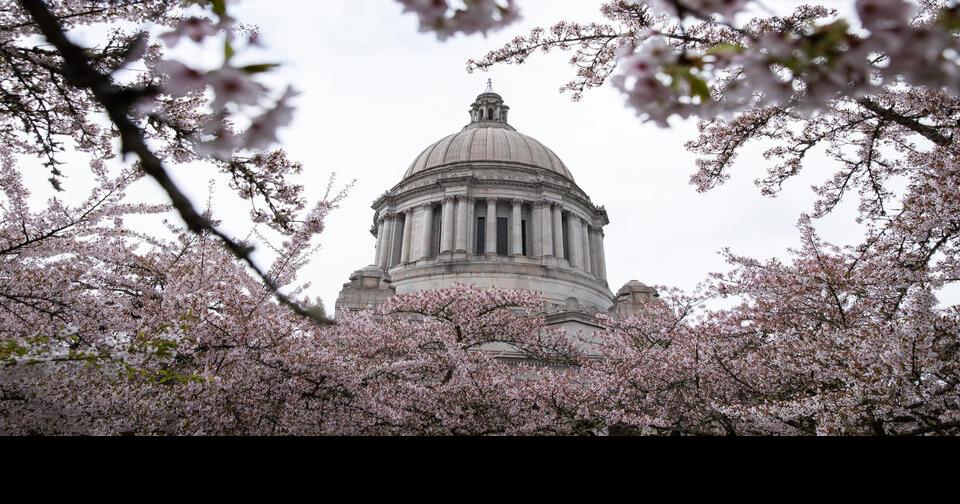 First bills drop ahead of WA’s 2025 legislative session News