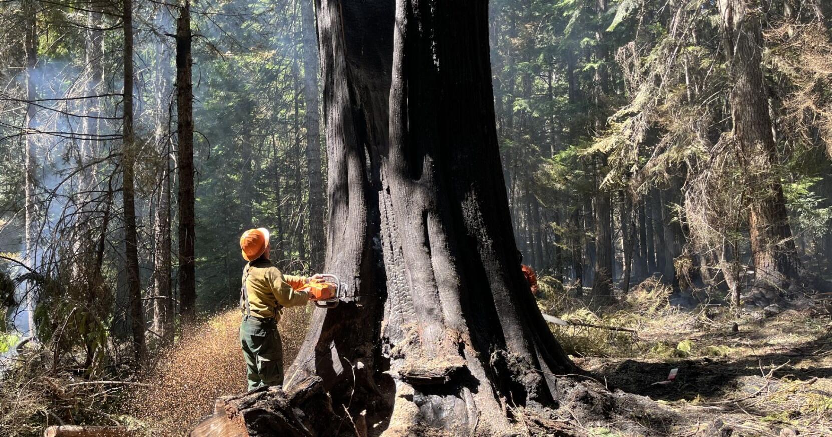 FIREWATCH: Crews continue work on wildfire burning in Pend Oreille County - Vimarsana News