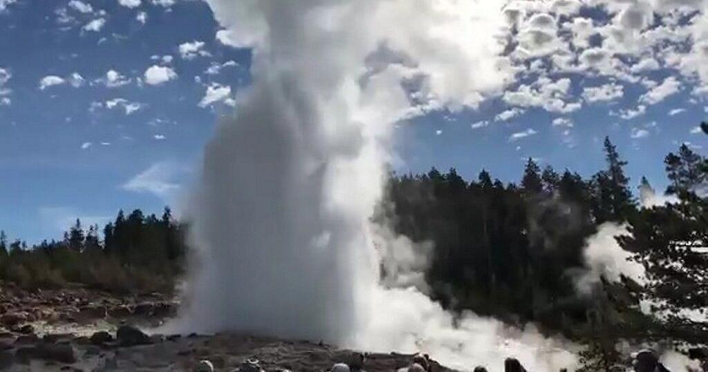 Yellowstone National Park has its first female chief ranger | Lifestyle ...
